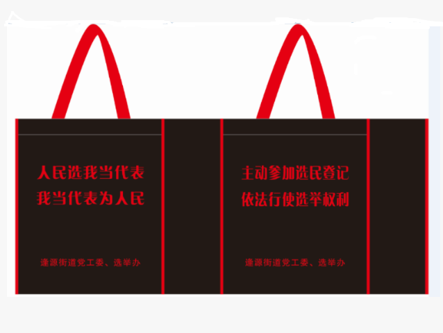 人大选举宣传案例
